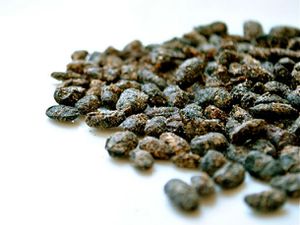 20101221-129671-fermented-black-beans-lead.jpg