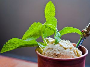 20110519-152486-mint-julep-ice-cream.jpg