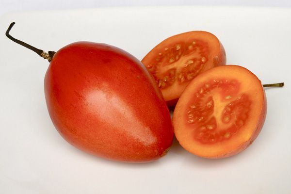 Tomate de Arbol