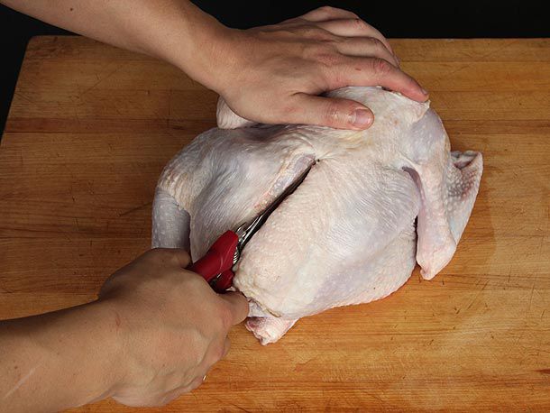 开始使用坚固的家禽剪剪出火鸡的脊骨