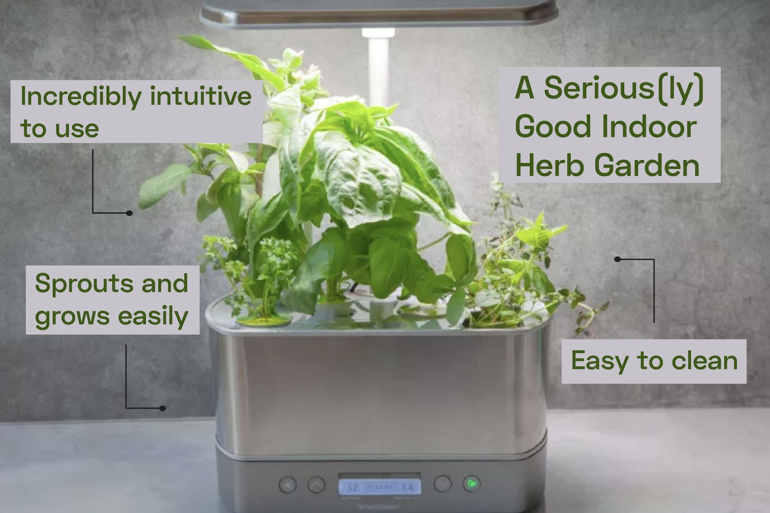 an indoor herb garden on a grey countertop