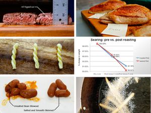 20101008-food-myths-primary.jpg