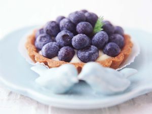 20110627 - 158509 -糕点奶油和fesh tart.jpg——水果