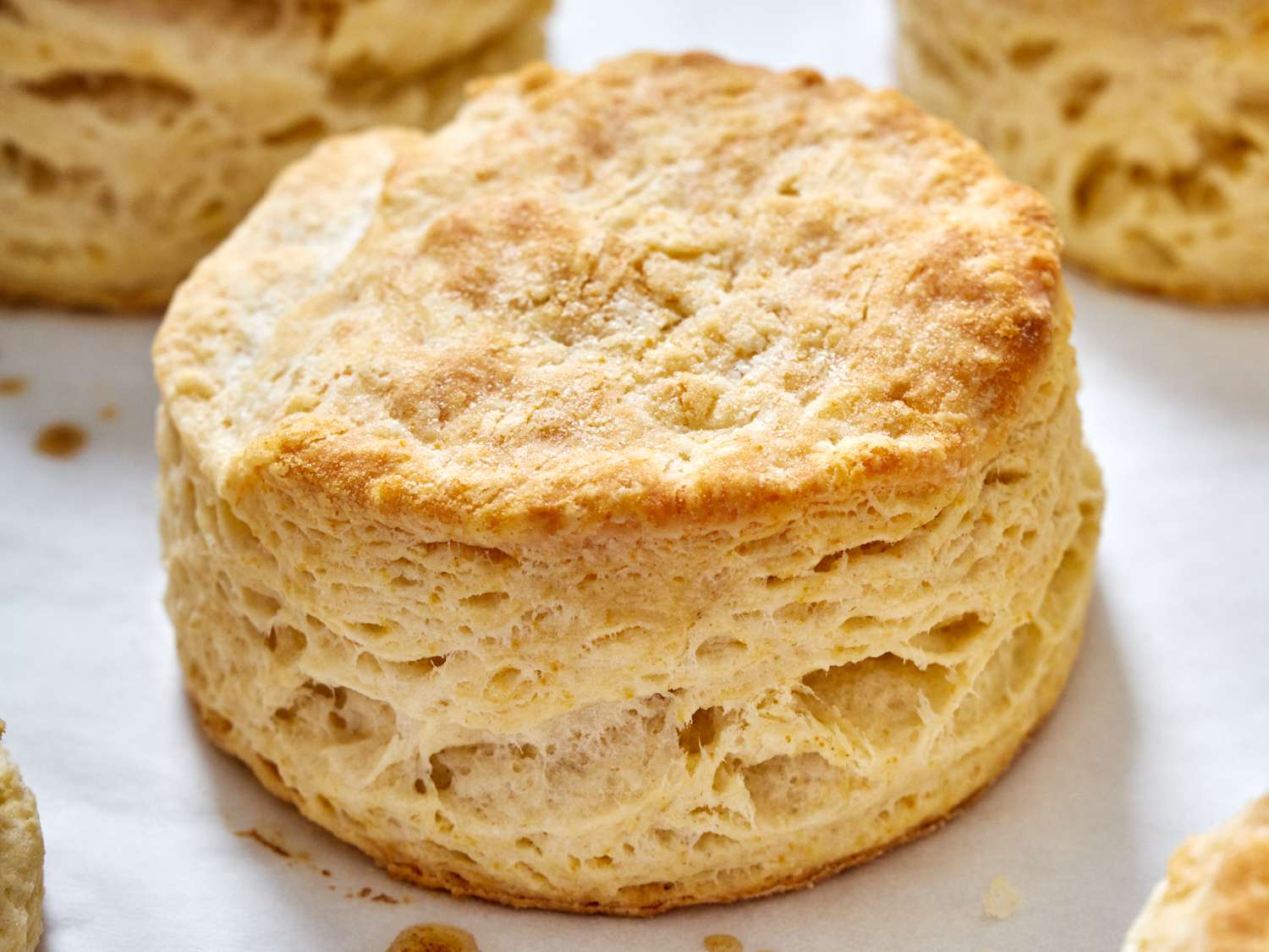 A close up of a baked buttermilk biscuit.
