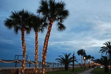 xmas-florida-shutterstock_45844897.jpg