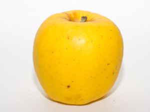 Opal apple close up