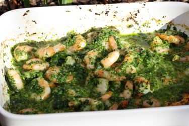 20120222 shrimpgreensauce.jpg