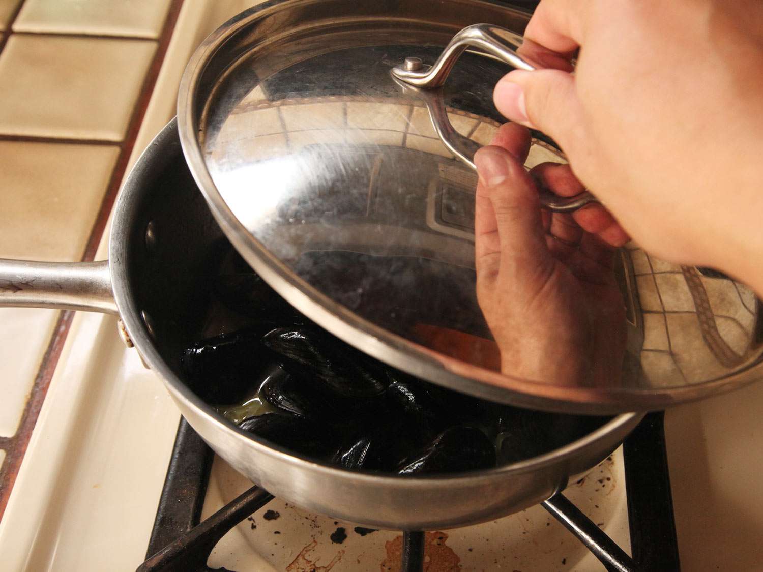 作者将锅盖盖在贻贝上。