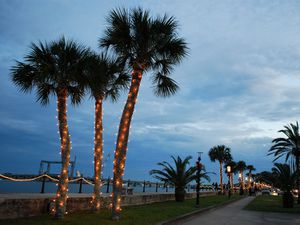 xmas-florida-shutterstock_45844897.jpg