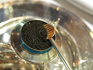 20130130-petrossian-caviar-taste-test-05.jpg