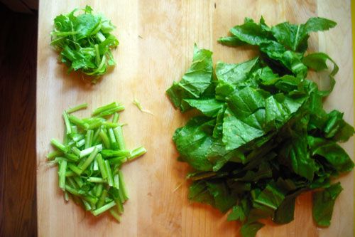 Asian leafy greens washed and sorted in order to be stir-fried.