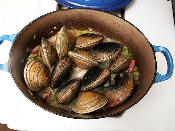 带壳的蛤蜊依偎在荷兰烤箱里，用香味蒸着。