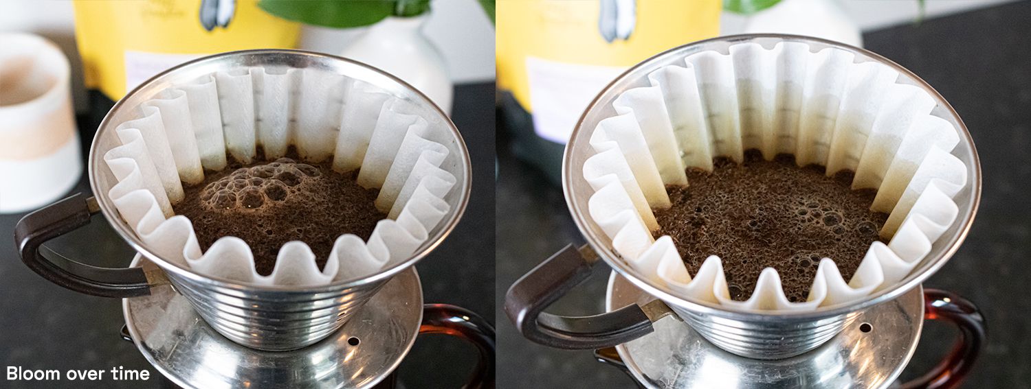 Two image collage showing a coffee bloom over time