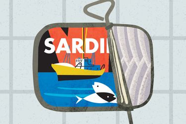 sardines-web.jpg