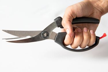 Hand holding black-handled poultry shears