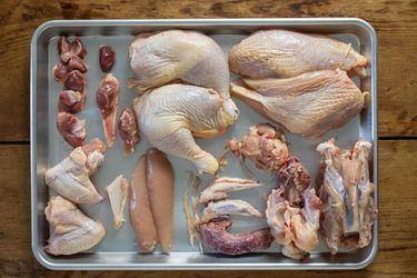 Whole chicken cut into parts. Clockwise from bottom left: Wings, gizzards, heart, oysters with skin flaps, legs, breast halves, rib cage, back and trim, wing tips and neck and tender tendons, tenders, chest cartilage.