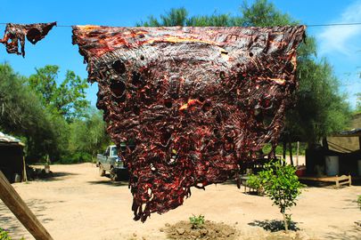 “夏天夏天的肌肉”，用太阳的压力，让它被晒黑