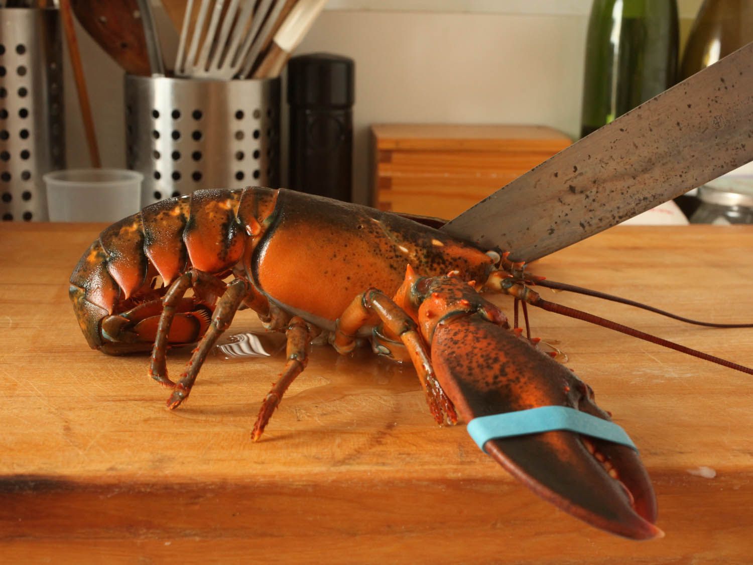 用厨师刀把活龙虾切成两半。
