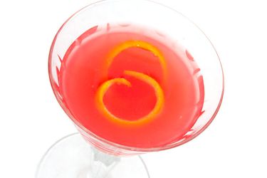 20120110-the-squeeze-cocktail-primary.jpg