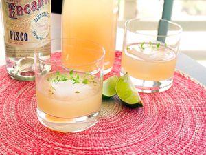 20150224 - piscograpefruitcocktail cocktails1 lepkowski.jpg——伊莱