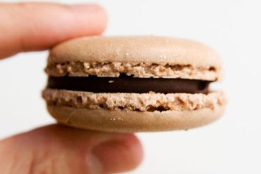 20100312 - tjmacarons primary.jpg