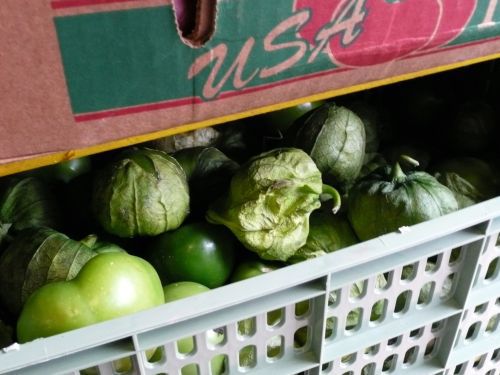 20100420 tomatillos.jpg