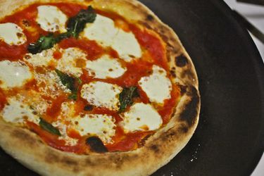 20100909-pizzology-neapolitan-pizza-primary.jpg