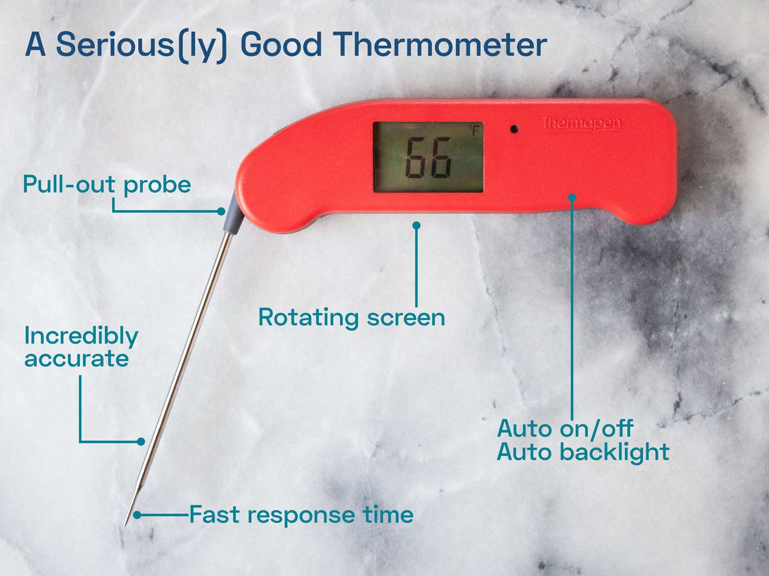 一个周围有文字的Thermapen ONE