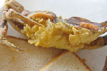 炸软壳蟹配两片面包。＂width=