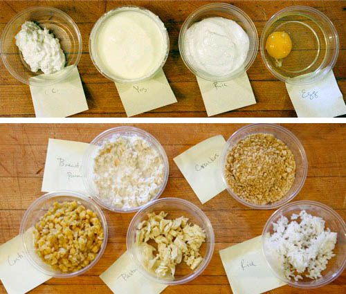 八种可能的水分来源的拼贴:白软干酪，酸奶，乳清干酪，鸡蛋，扁豆，面包，磨碎的意大利面，饼干和米饭。