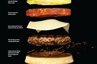 20110131-modernist-cuisine-burger-primary.jpg