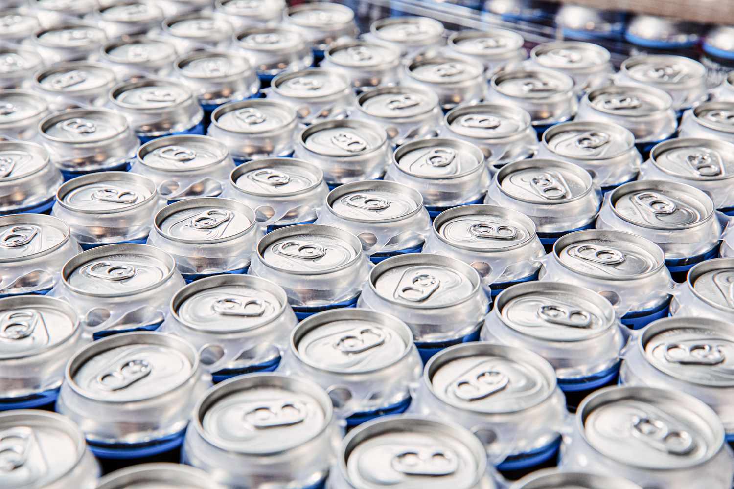 Overhead view of beer cans at Dorchester Brewing