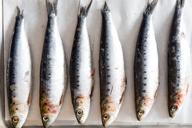 Six fresh, silvery sardines laid neatly next to one another.