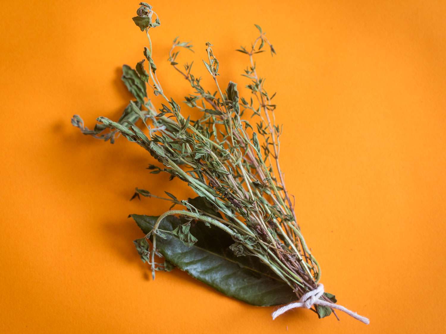 一束用于墨西哥烹饪的芳香草本植物:百里香、马郁兰、牛至和月桂叶