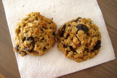 20111107 - cookiemonster chocolatecherryoatmealcookies.jpg