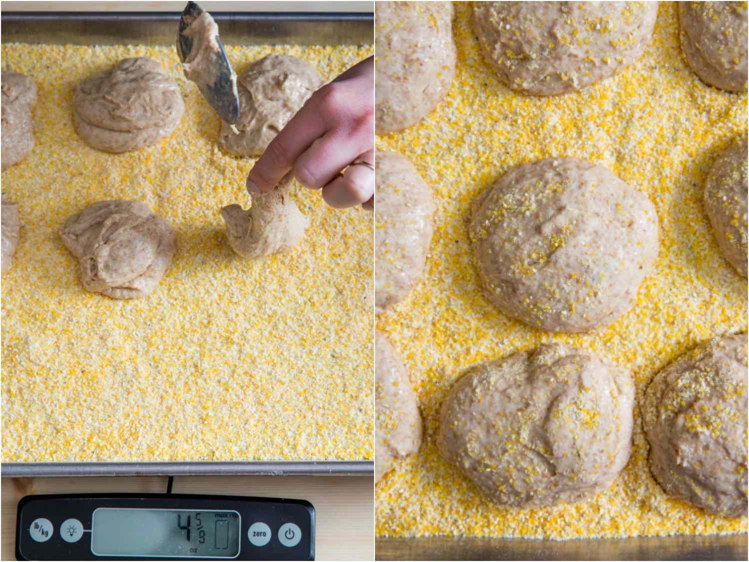 拼贴照片显示，将一圈圈英式松饼面糊分装在秤上涂有玉米粉的边烤盘上，然后再在上面添加额外的玉米粉。gydF4y2Ba
