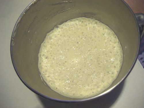 2010121 - protips preferment.jpg