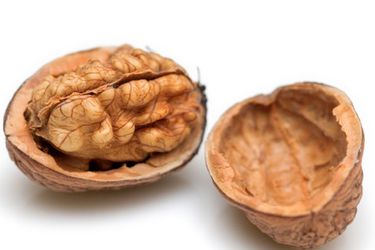 22100414——walnuts.jpg