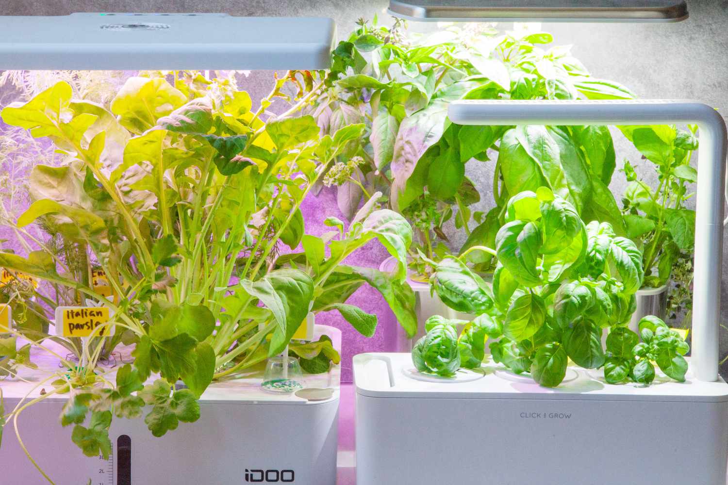 three indoor herb gardens