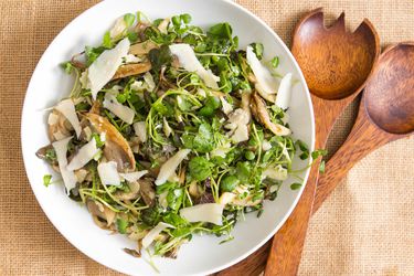 20150826-oyster-mushroom-watercress-salad-vicky-wasik-4.jpg