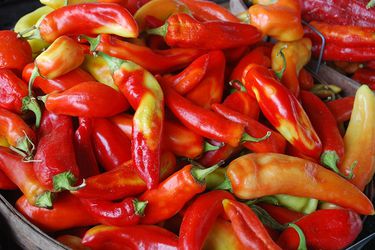 20090728 redchiles.jpg