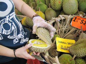 Opening a durian