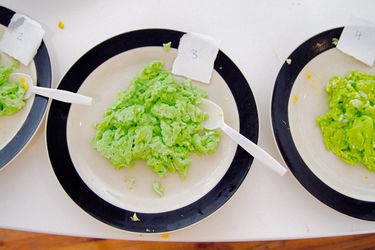 Three side-by-side plates of scrambled eggs that have been dyed with green food coloring. The eggs are part of a taste and quality test.