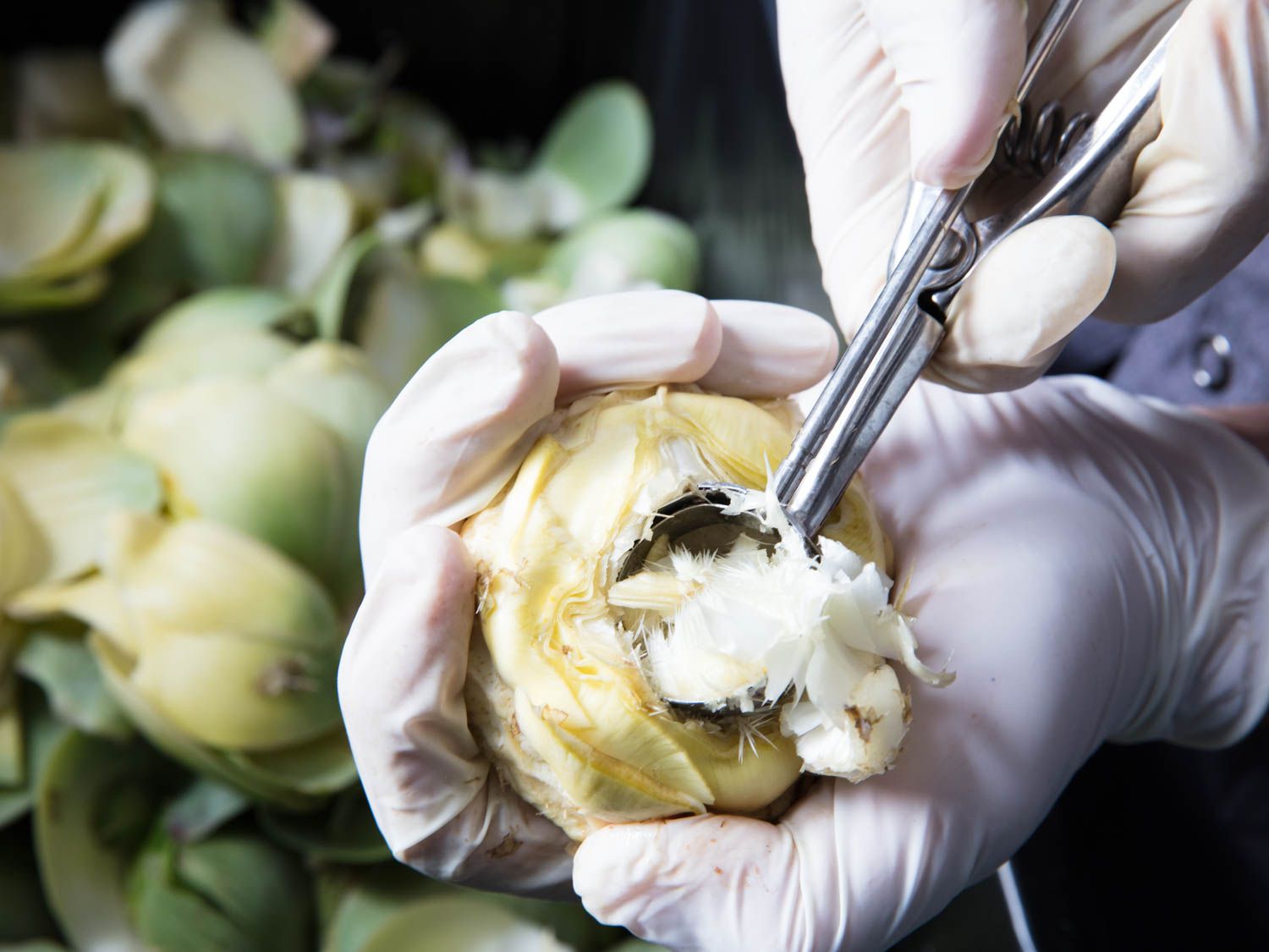 A gloved hand scooping out the furry choke from an artichoke using a small cookie scoop, with artichokes visible in the background.