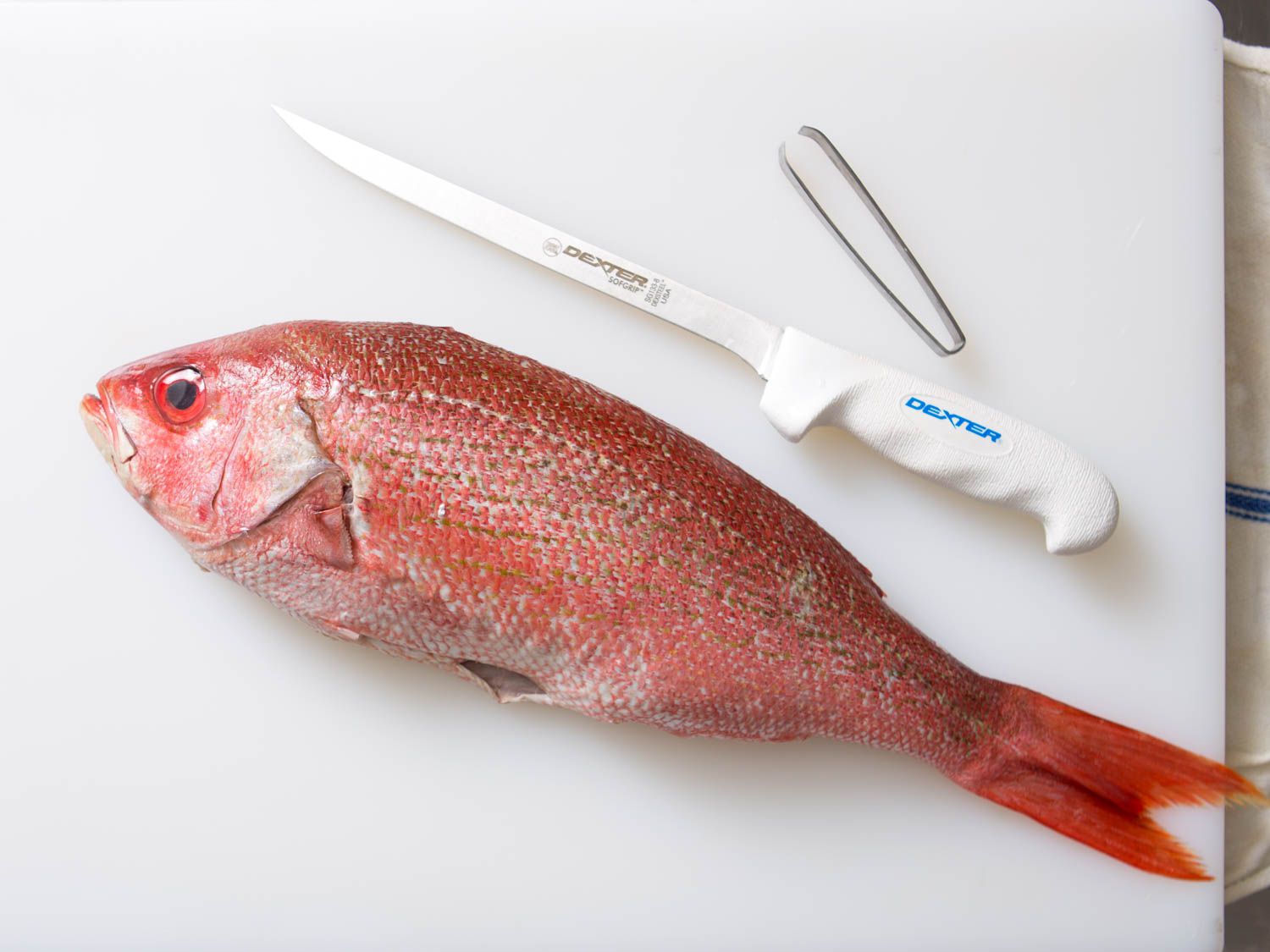 一只红鲷鱼和一把切肉刀放在塑料砧板上。