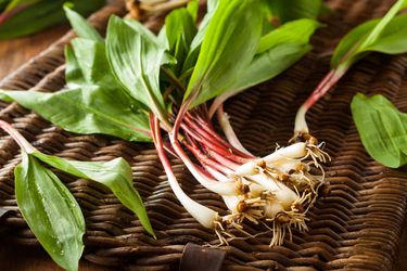 A bunch of ramps on top of a wicker basket.