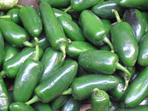 20100423 jalapenos.jpg