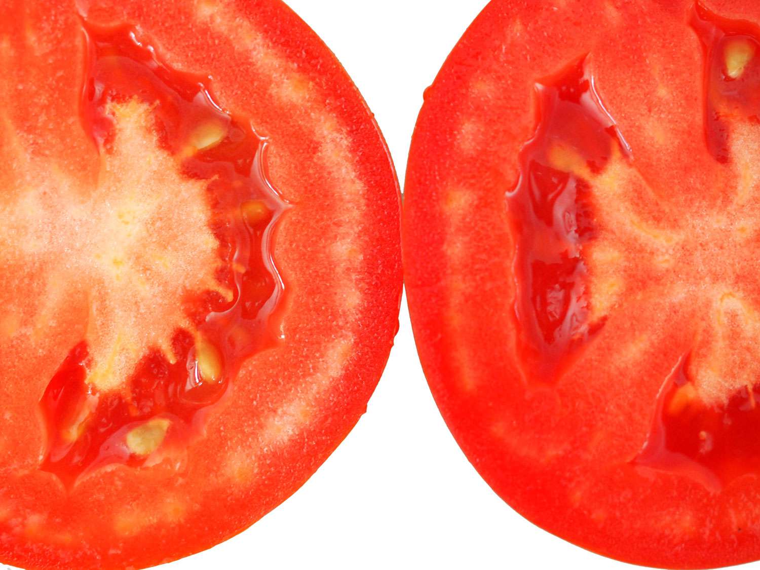 20140719-tomato-test-plum-cut-open-closeup-daniel-gritzer.JPG