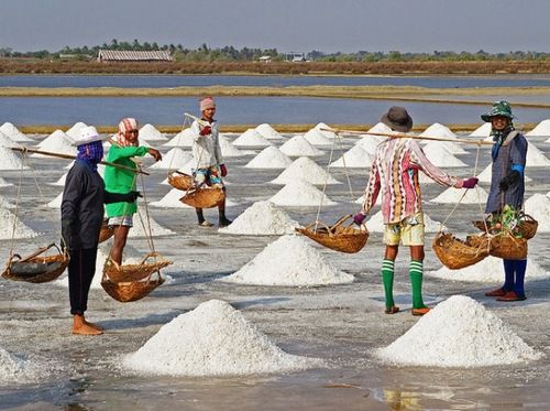 20110908 - 169469-salt-farmers.jpg