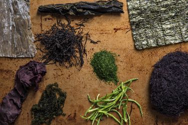 A selection of seaweeds (kelp, nori, ogo-nori, ao-nori, sea beans, wakame, dulse) viewed from above